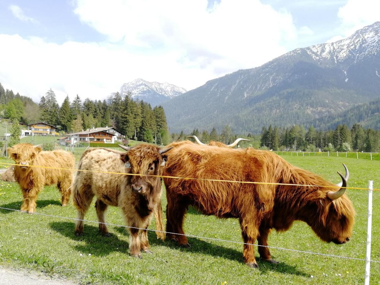 Camping Lechtal Vorderhornbach Bagian luar foto